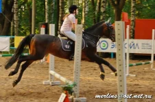 _MG_3959.webp