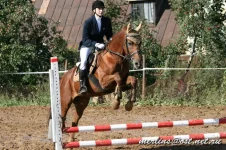 20090919_1571.webp
