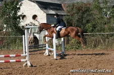 20090919_1573.webp