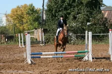 20090919_1575.webp