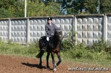 20090919_1587.webp