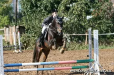 20090919_1647.webp