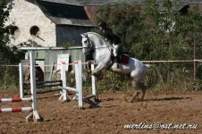20090919_1670.webp