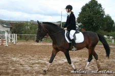 20090919_1746.webp