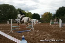 20090919_1741.webp