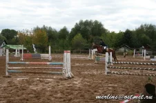 20090919_1789.webp