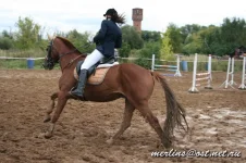 20090919_1798.webp
