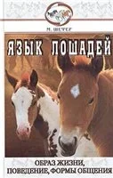 yazik.webp