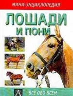 p202570.webp
