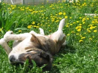в одув.webp