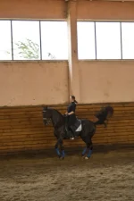 86556244.webp
