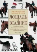 x_7f03d874.webp