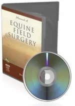 x_8fa226b2.webp