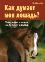 x_28ad5eca.webp