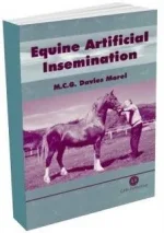x_56c6043c.webp