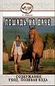 x_727be060.webp