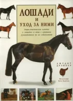 x_5581c86b.webp