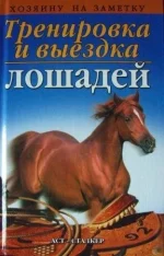 x_b2919b36.webp