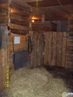 x_2da68b11.webp