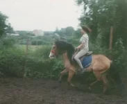 02.webp