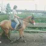 03.webp