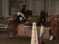 x_740b7049.webp