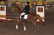 x_d2571c3d.webp