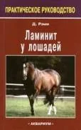 b33b30bb21.webp