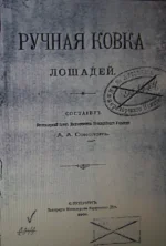 CIMG0011.webp