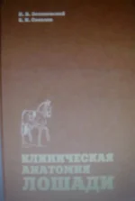 CIMG0036.webp