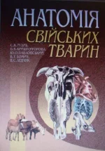 CIMG0041.webp
