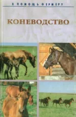 x_4b03d1b8.webp