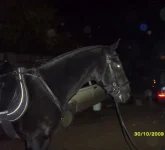 x_923d12ac.webp