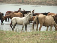 DSCF3892.webp