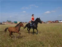 5879255aaaa4[1].webp