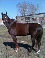 78971-67401-17802794-.webp