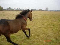 2192f54ddf87[1].webp