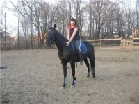 832e27b1b539[1].webp