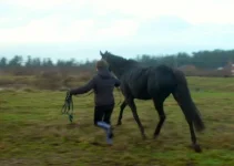 DSCN8873.webp