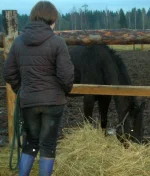 DSCN8881.webp