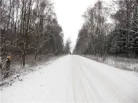 4b2df1d812c4[1].webp