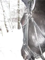 a9b9b714e3af[1].webp