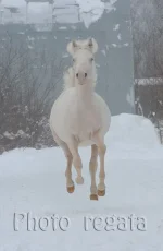 6e06a928.webp