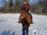 22.webp