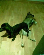 Image009.webp