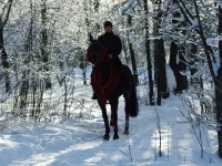 DSCF5662.webp