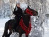 DSCF5776.JPG