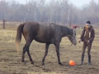 Копия P1030503.webp