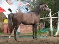 x_0613155f.webp