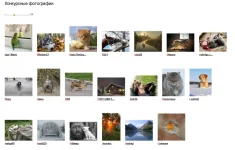 1.webp